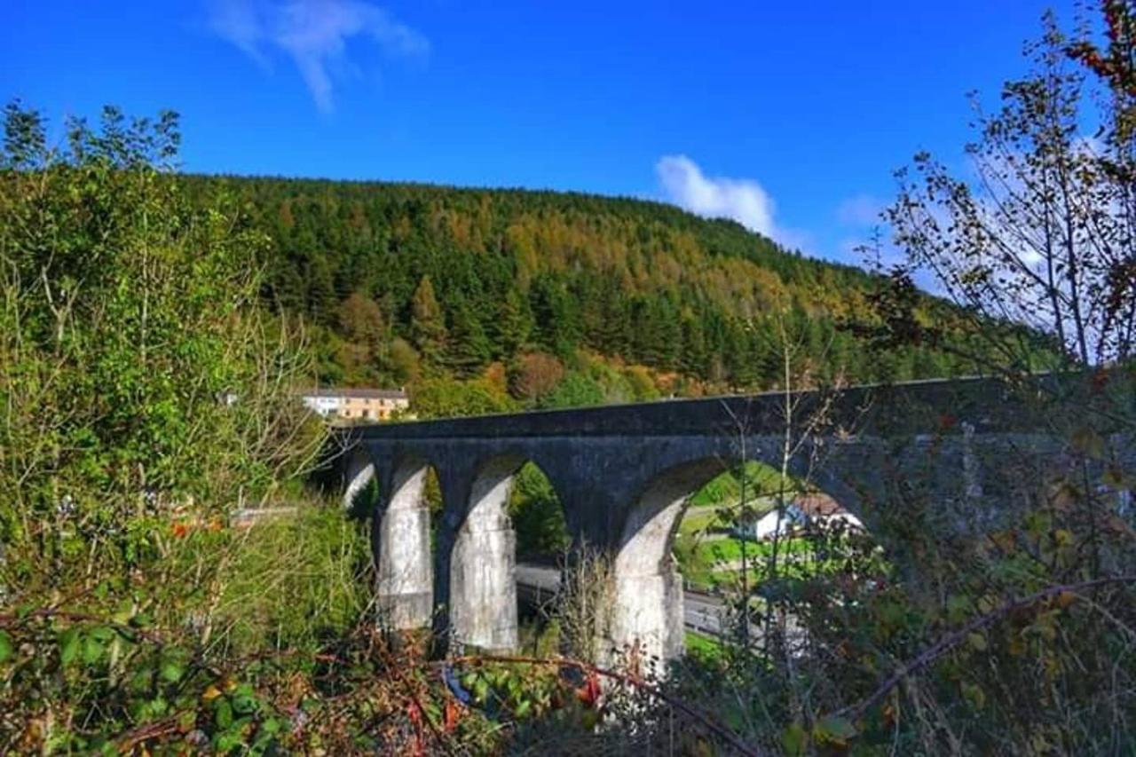 Selah Cottage, 21 Queen Street Pontrhydyfen Zewnętrze zdjęcie