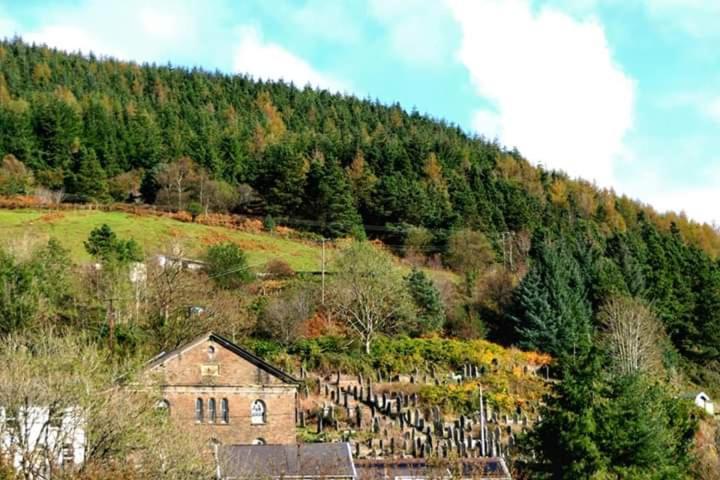 Selah Cottage, 21 Queen Street Pontrhydyfen Pokój zdjęcie