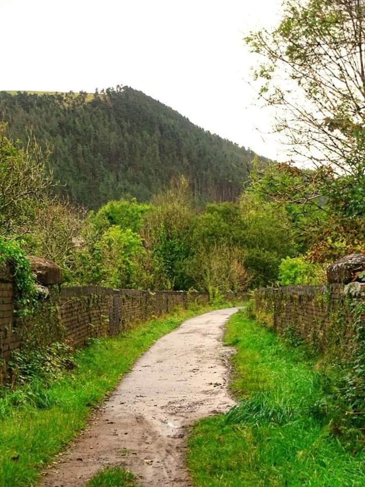 Selah Cottage, 21 Queen Street Pontrhydyfen Pokój zdjęcie