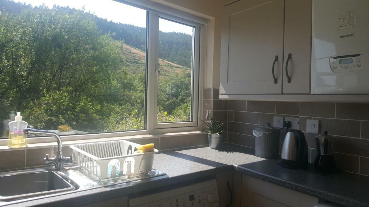 Selah Cottage, 21 Queen Street Pontrhydyfen Zewnętrze zdjęcie