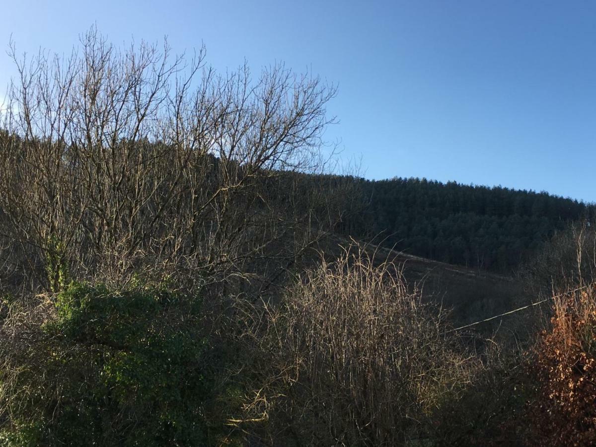 Selah Cottage, 21 Queen Street Pontrhydyfen Zewnętrze zdjęcie
