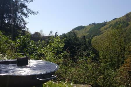 Selah Cottage, 21 Queen Street Pontrhydyfen Zewnętrze zdjęcie